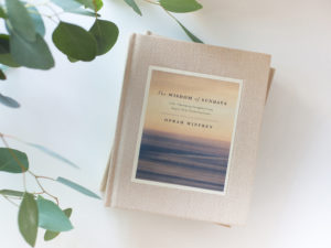 The Wisdom of Sundays