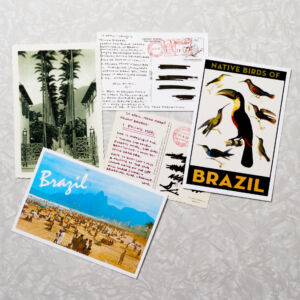 Digital art selected for the #.
(NATIVE BIRDS OF = Brazil BRAZIL,business, paper, no person, money, desktop, vacation, card, bill, landscape, magazine, collage, retro, travel, print, achievement, finance, wealth, sign, text, conceptual)